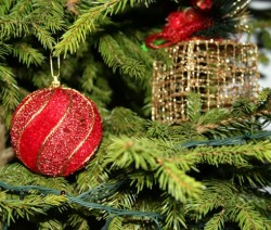 Новогоднее поздравление редакции OpenRevue